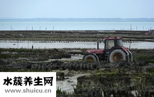 骨骼老化怎么辦