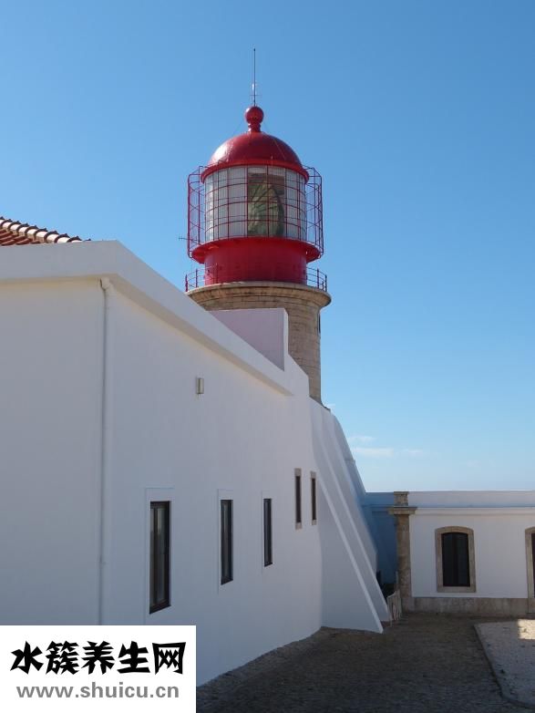 魚缸水綠了怎么辦