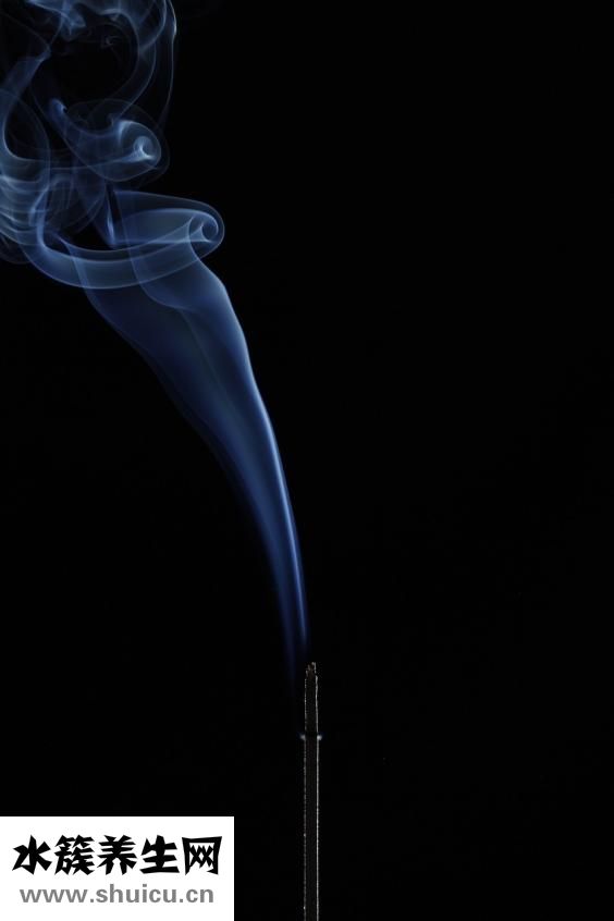 黑金剛怎么繁殖