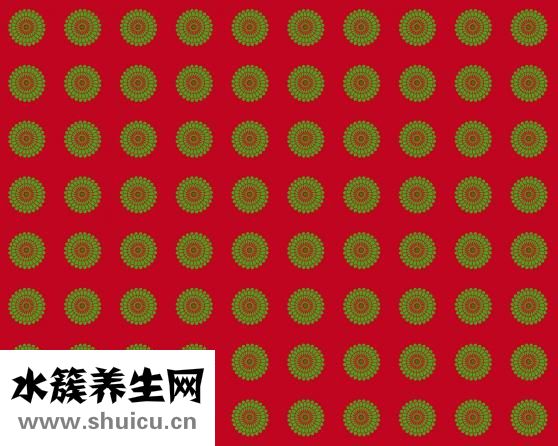 白色帆布包怎么洗