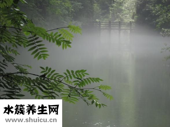 表里有水霧怎么辦