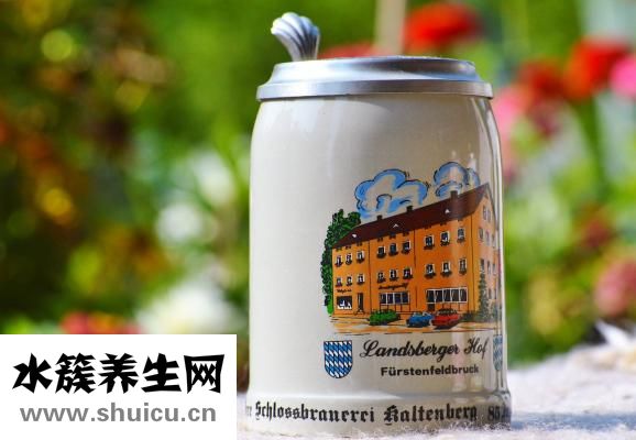 枸杞子怎么服用