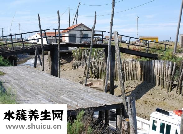 骨骼老化怎么辦