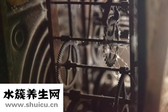 新鮮的海鮮怎么保存