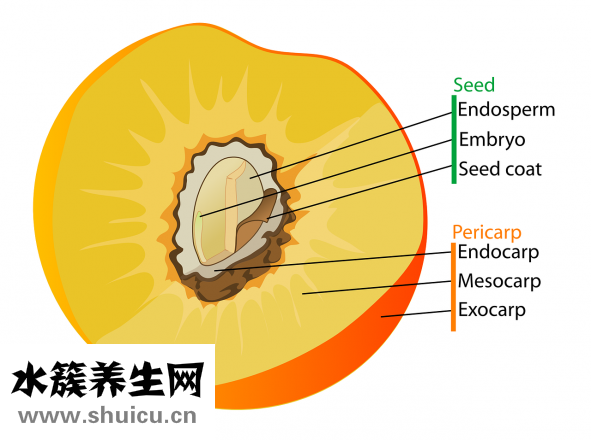 臉上長(zhǎng)毛毛怎么辦