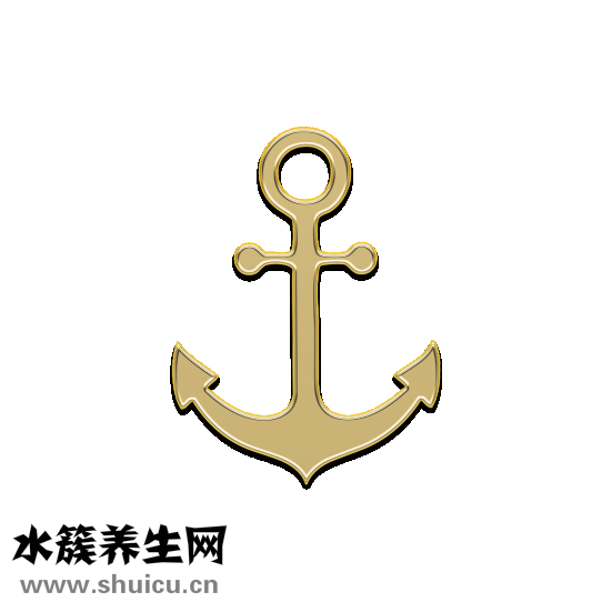 烤鴨飯的醬怎么做