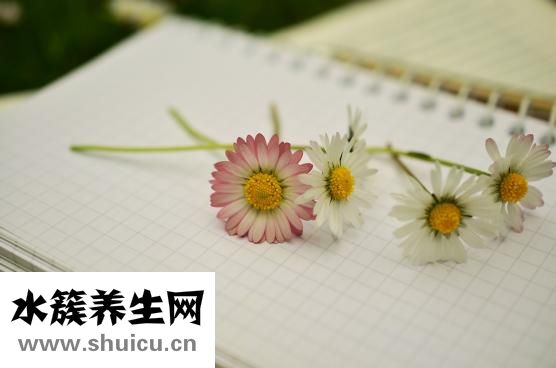 側(cè)撩腿怎么做