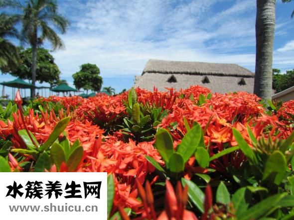 收抬手怎么操作