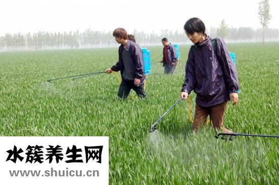 翡翠佛怎么開光