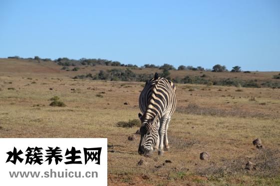 骨骼老化怎么辦