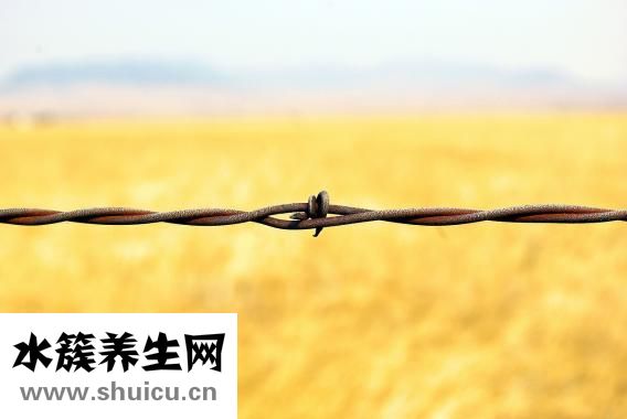 慢回彈記憶枕怎么用