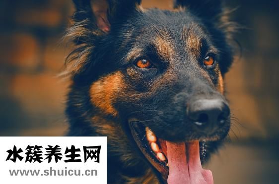 寶寶義眼干澀怎么辦