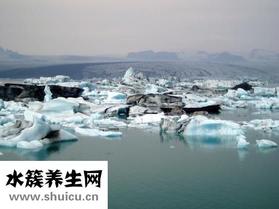 趙宏利的號(hào)子怎么掛