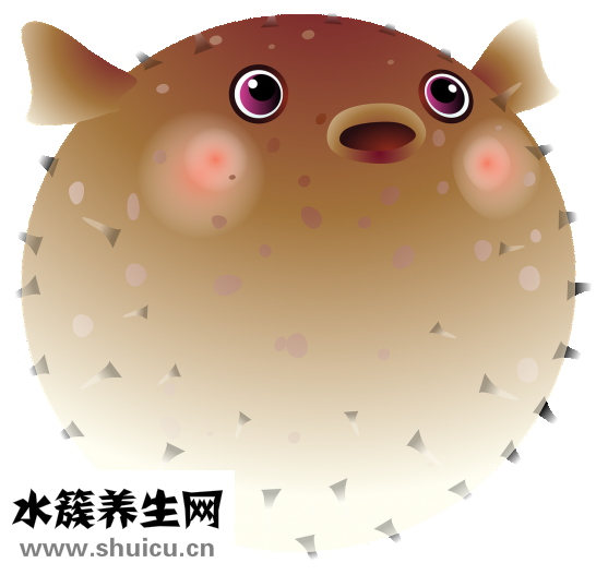 魚缸水綠了怎么辦