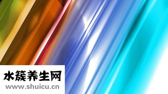 夏天解暑湯怎么熬