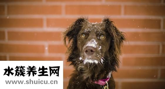 眼睛針眼怎么辦