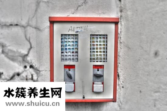 一口盅怎么泡水