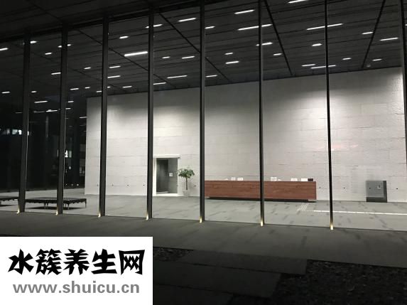 老干媽蒸肉怎么做