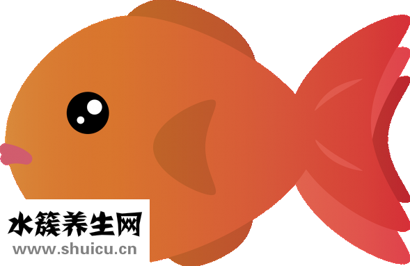 魚缸水綠了怎么辦