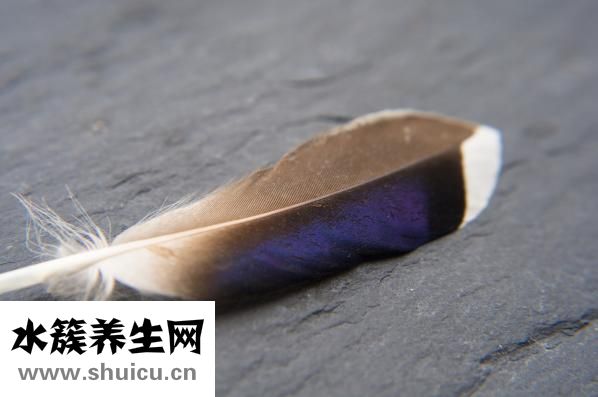 藍黑色頭發怎么做