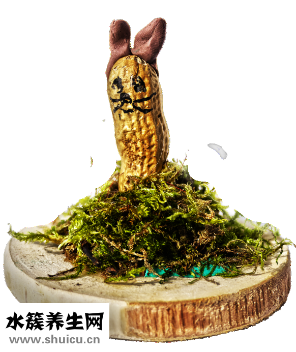 同學們用英語怎么說