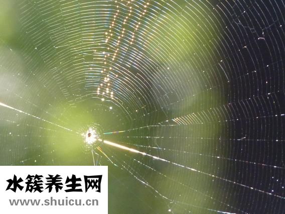 閉口是什么怎么去掉