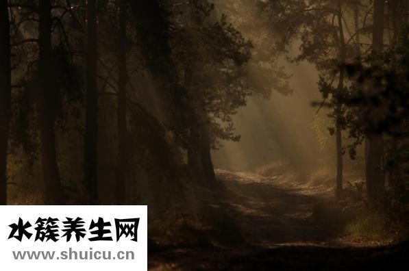 天太熱睡不著怎么辦