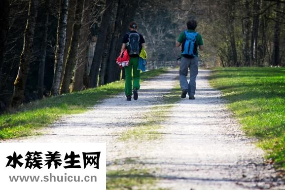 長毛貓怎么打理