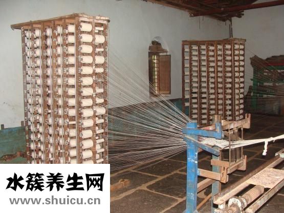 歐豪怎么出名的