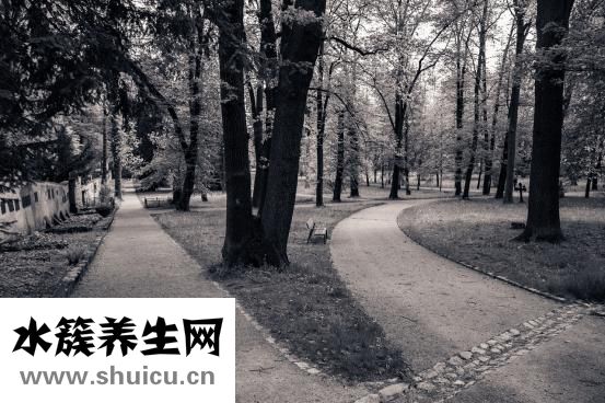 備孕緊張怎么放松