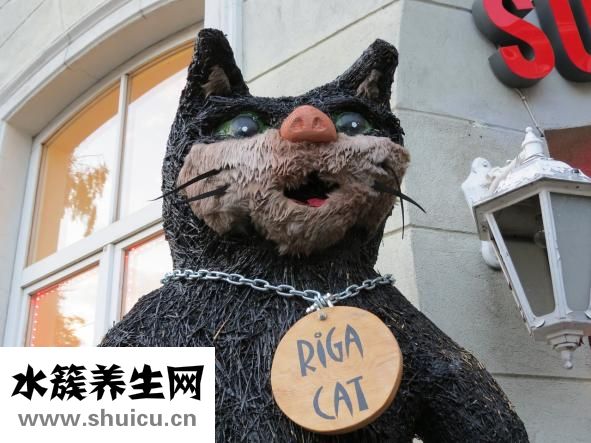 嬰兒偏臉怎么辦