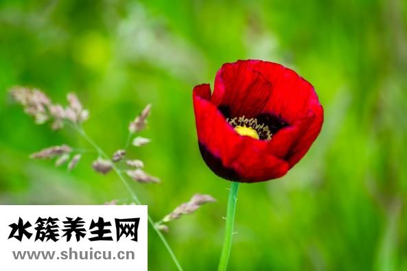 怎么培養(yǎng)正氣