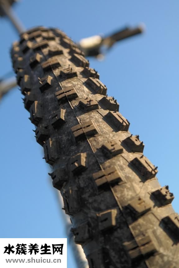 身上有紋路怎么回事