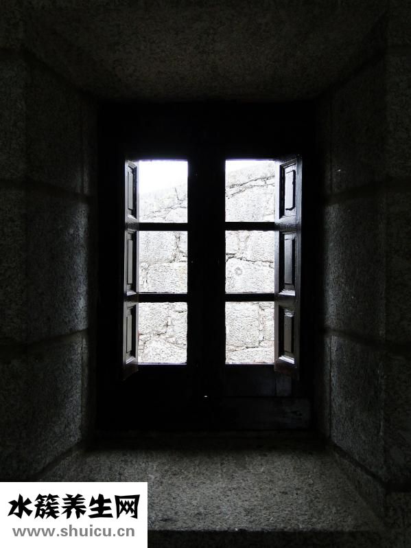 番茄玫瑰花怎么做