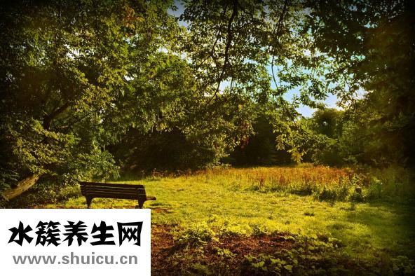 朋友結(jié)婚怎么辦