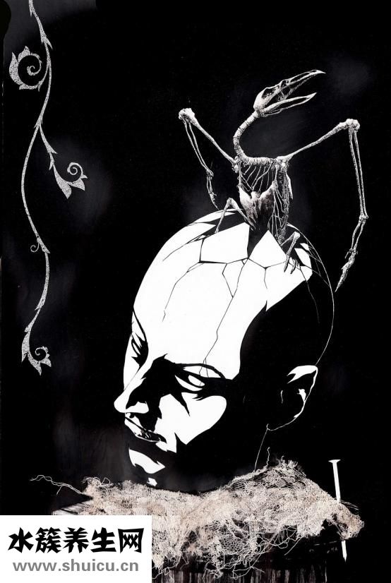 聯通停機怎么辦理