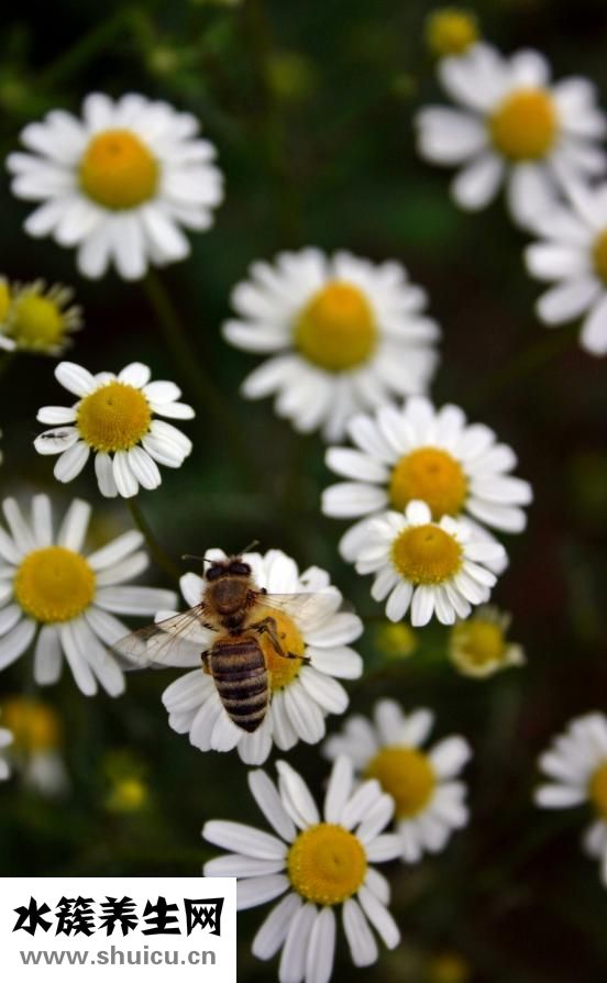 我有妄想癥怎么辦