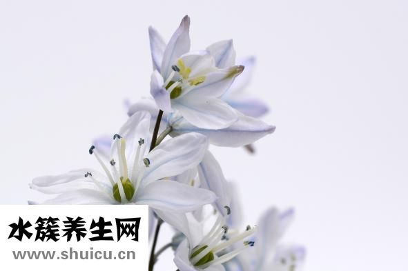 未婚生子怎么辦