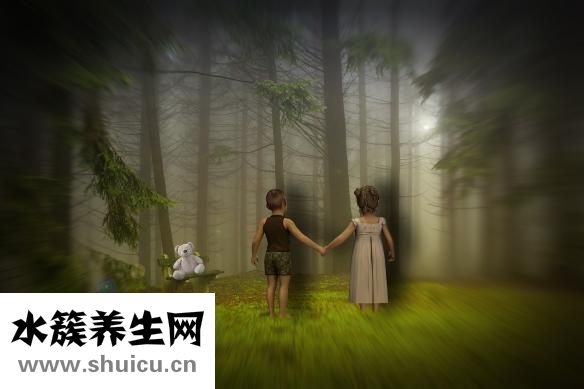 泰迪發(fā)燒了怎么辦