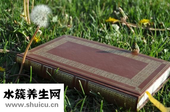 癌細胞指數怎么查