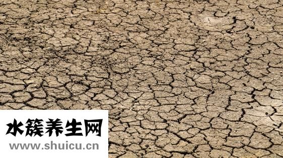 瑜伽蓮花座怎么練