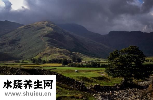 孩子手腳癢怎么回事