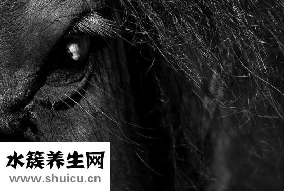 胰腺瘤該怎么辦