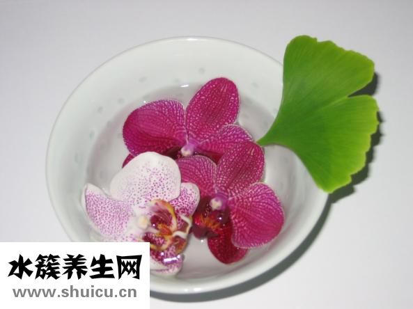 銀杏中毒怎么辦