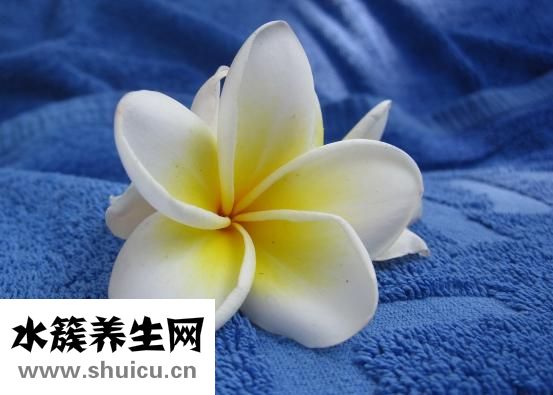 腳脖子存筋了怎么辦