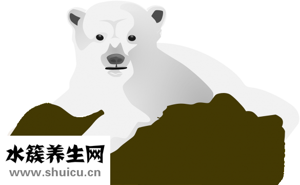 嬰兒銅錢癬怎么治療