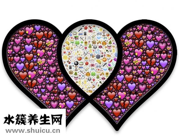 水準點怎么復核