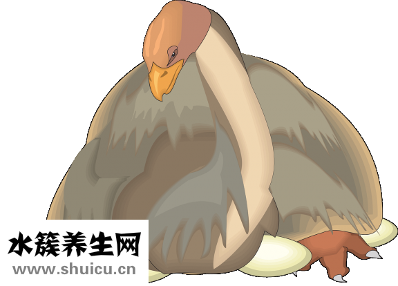 孕婦怎么吃不長肉