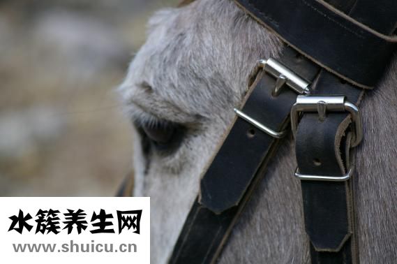 耳朵內疼痛怎么辦