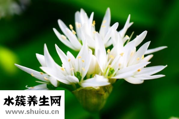 神經(jīng)性頭疼怎么根治